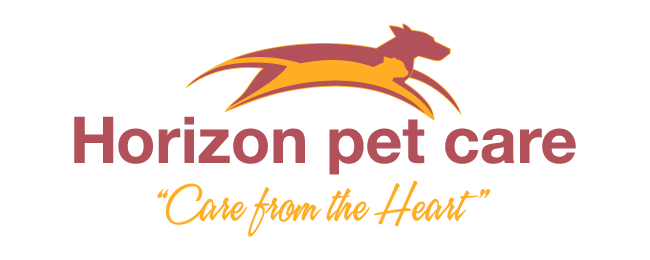 Logo for Veterinarians Brandon, South Dakota | Horizon Pet Care